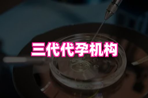 河南助孕网站 2