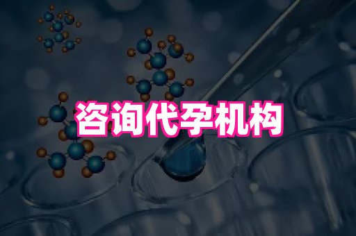 河南助孕网站 3
