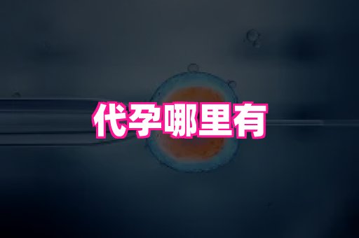 河南助孕网站 4